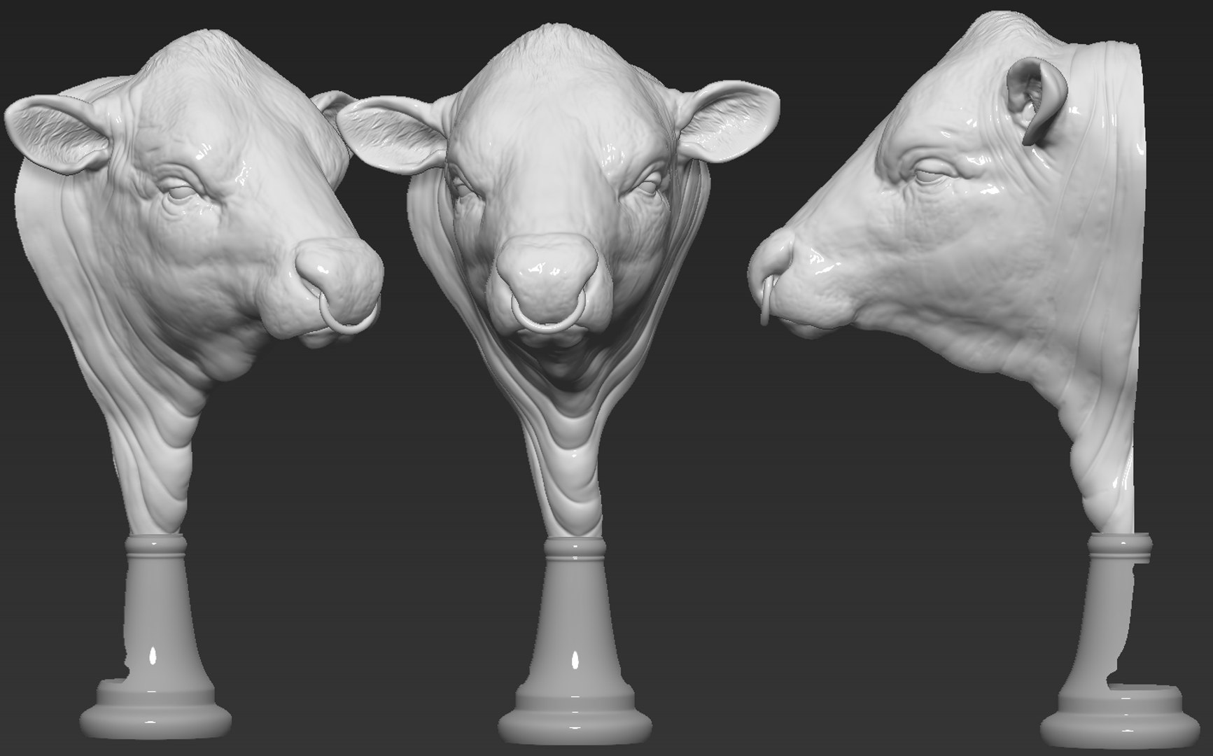 Angus Bull model https://p.turbosquid.com/ts-thumb/vH/1Qien2/vm/09/png/1658792392/1920x1080/fit_q87/cdc2940f27323f2483a89e18f2989e9a333b3667/09.jpg
