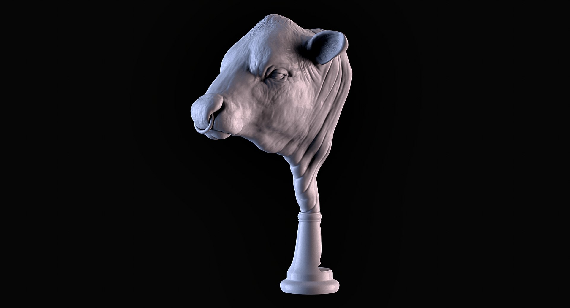 Angus Bull model https://p.turbosquid.com/ts-thumb/vH/1Qien2/wb/08/png/1658792396/1920x1080/fit_q87/382bc240fda29ccf1b48f3ad2de7a13978e5617a/08.jpg