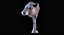 Taureau Angus