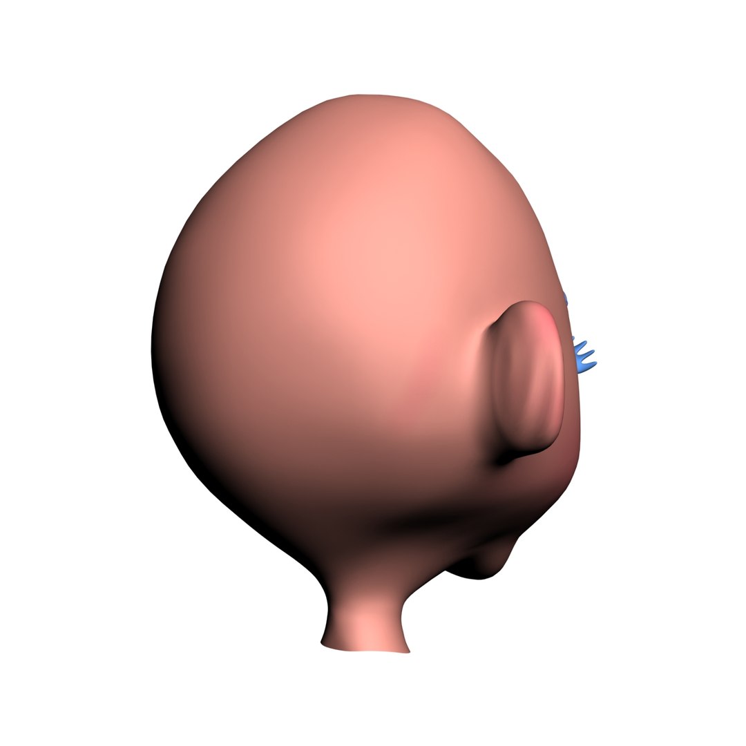 3ds cartoon head https://p.turbosquid.com/ts-thumb/vH/69QW7k/D3a7CzBL/6/jpg/1373869618/1920x1080/fit_q87/a6d8d57680481955700727826b4a4c1da3cbac8c/6.jpg