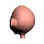 Cabeza de bebe toon 2