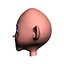 Cabeza de bebe toon 2