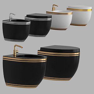 Bidet and Toilet set