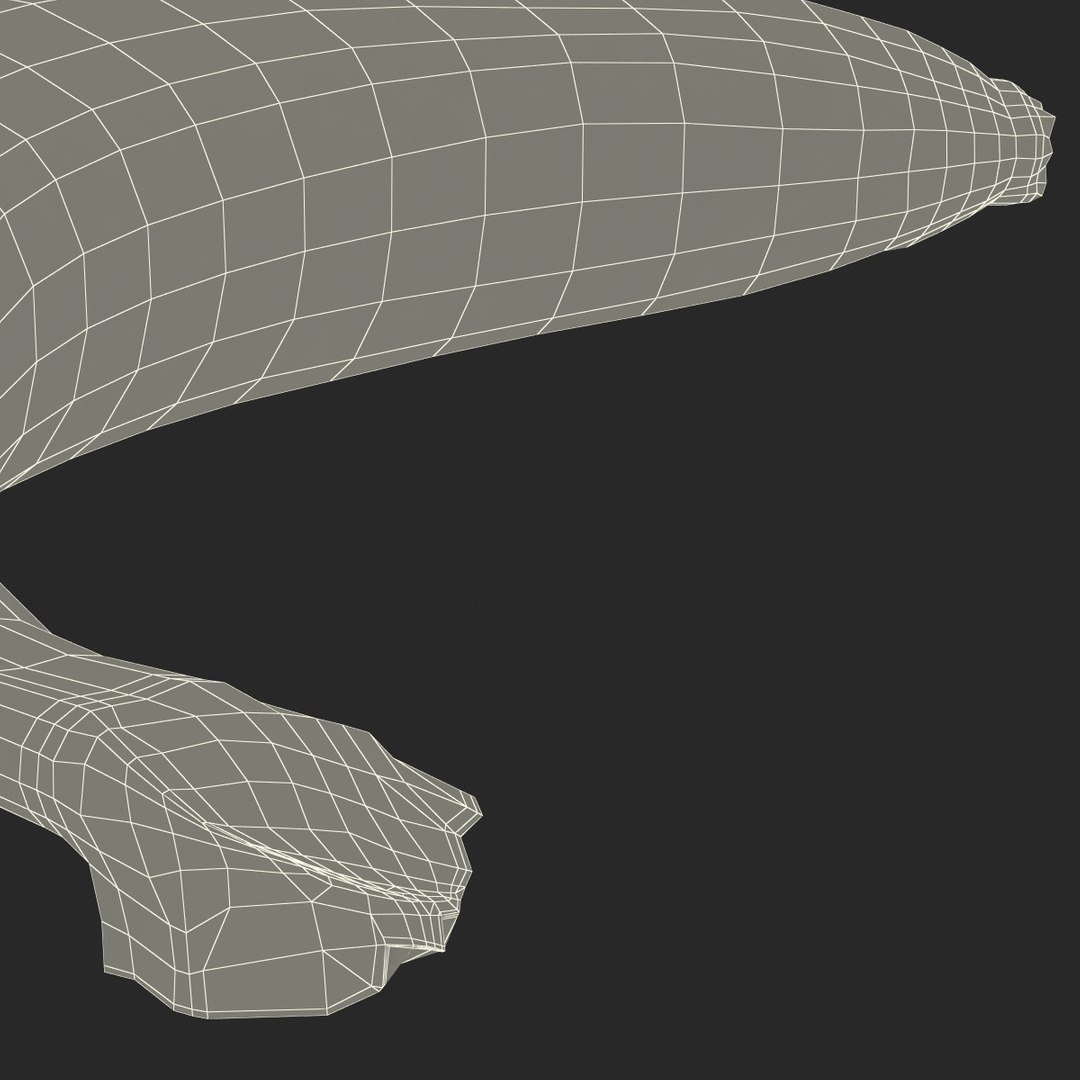 3d model of banana modeled realistic https://p.turbosquid.com/ts-thumb/vH/C8LtGn/FkCVxPoj/bananayellow3dmodel23/jpg/1435243060/1920x1080/fit_q87/b786edf399adfb67484873098768323ec29e5cc6/bananayellow3dmodel23.jpg