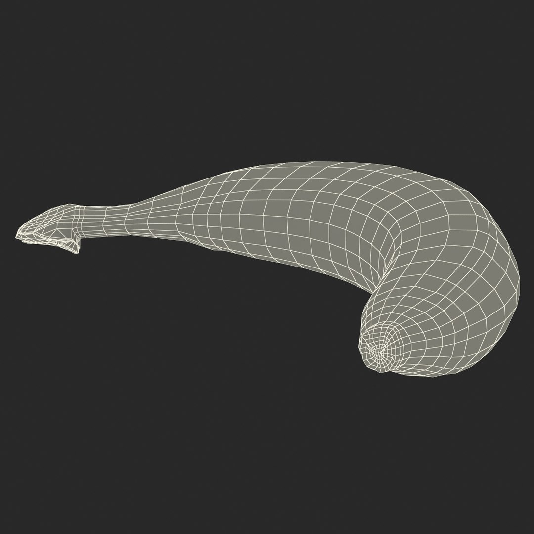 3d model of banana modeled realistic https://p.turbosquid.com/ts-thumb/vH/C8LtGn/XPSPtSG7/bananayellow3dmodel21/jpg/1435243060/1920x1080/fit_q87/b7f00ae22dd0ee4f82b0de567d6d6b4005f4c7e7/bananayellow3dmodel21.jpg