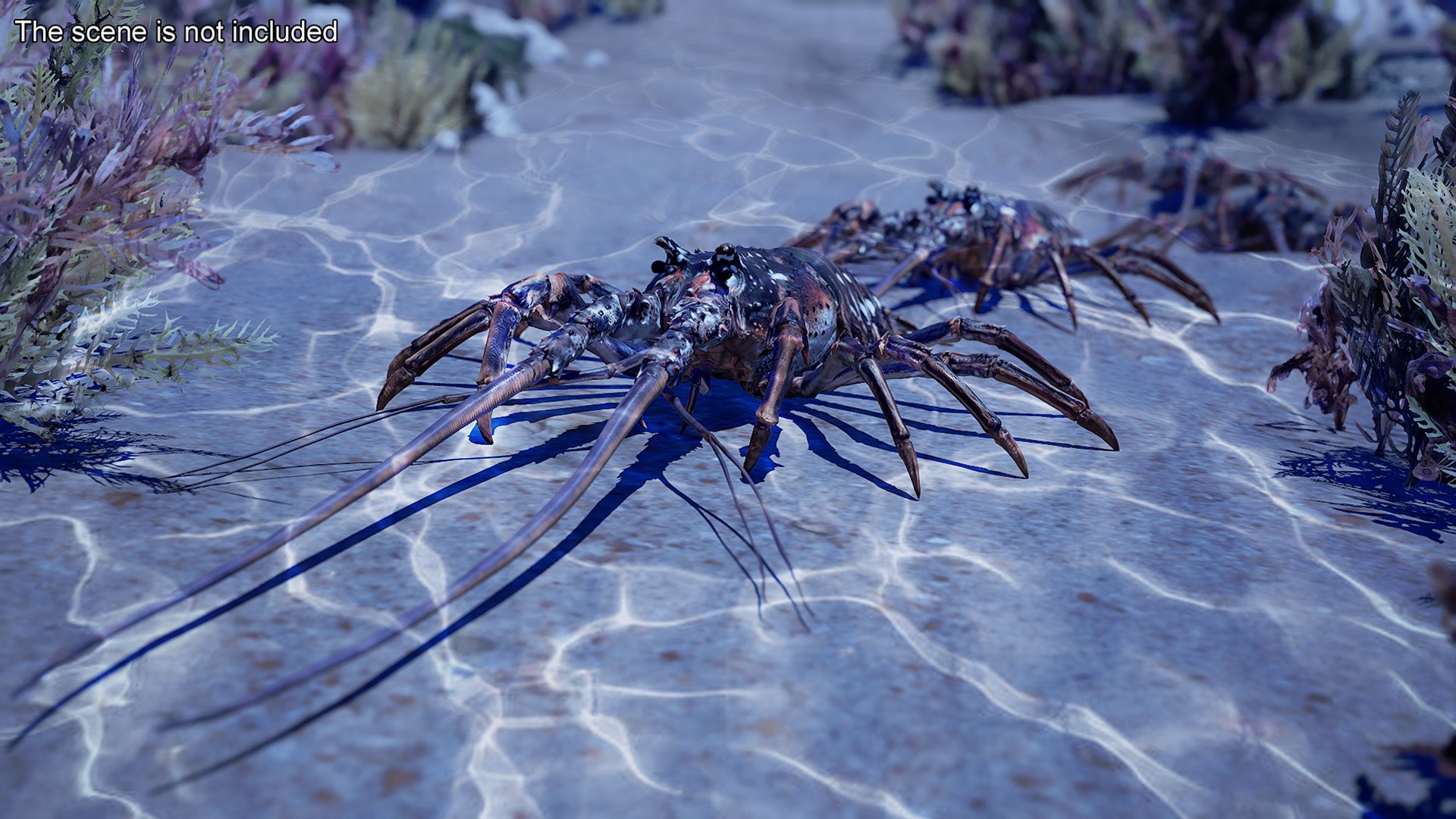 3d langouste model https://p.turbosquid.com/ts-thumb/vH/qOSZIl/9B/langouste_004/jpg/1674136920/1920x1080/fit_q87/80a68b36e49f7b7163a4a5b47a1bbf98e3e34750/langouste_004.jpg