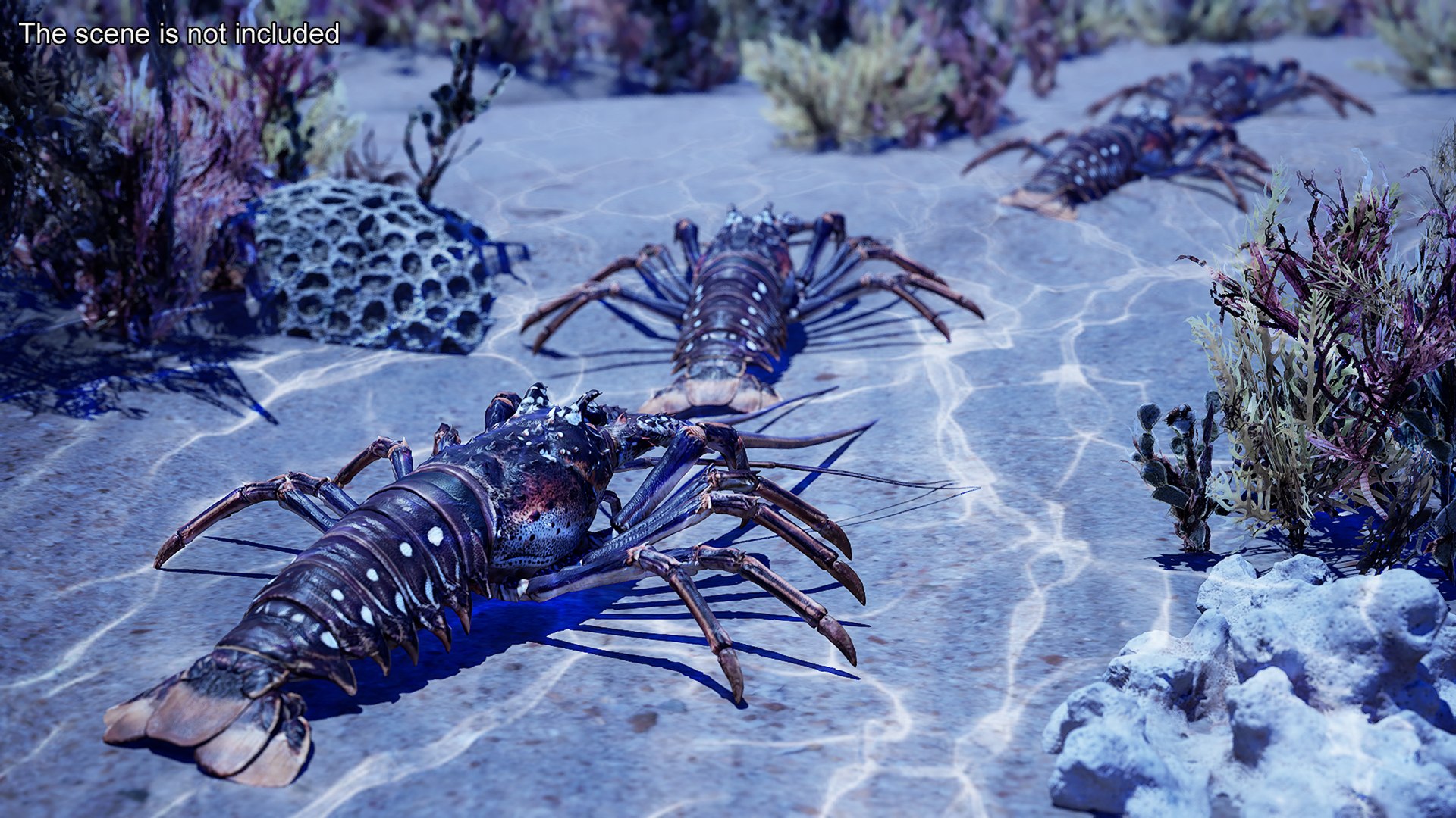 3d langouste model https://p.turbosquid.com/ts-thumb/vH/qOSZIl/9P/langouste_003/jpg/1674136920/1920x1080/fit_q87/d5b05abf85fa4d1fe962677ddada23ffd450830f/langouste_003.jpg