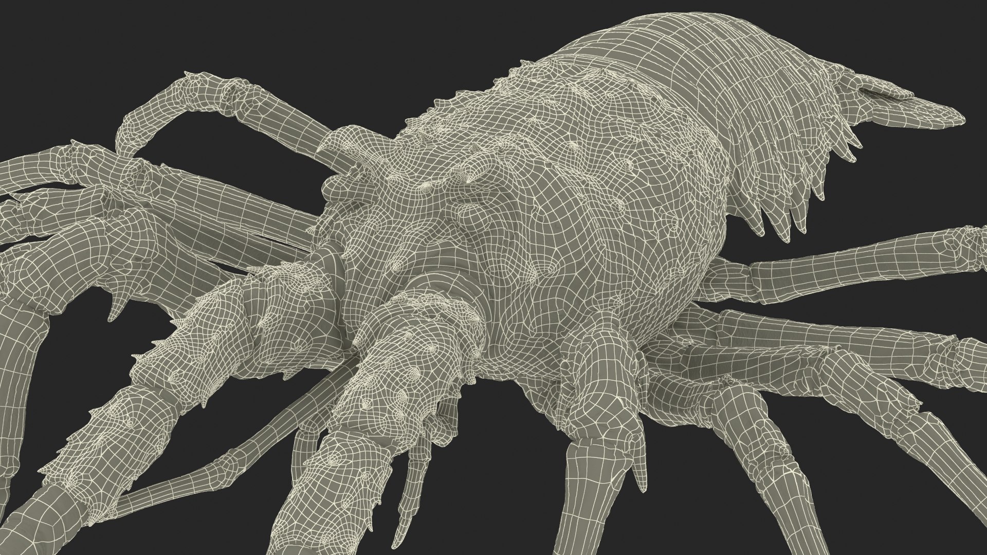 3d langouste model https://p.turbosquid.com/ts-thumb/vH/qOSZIl/A6/langouste_029/jpg/1674136934/1920x1080/fit_q87/abdc76c88538bab9fa7ea33f09122ce2bc454842/langouste_029.jpg