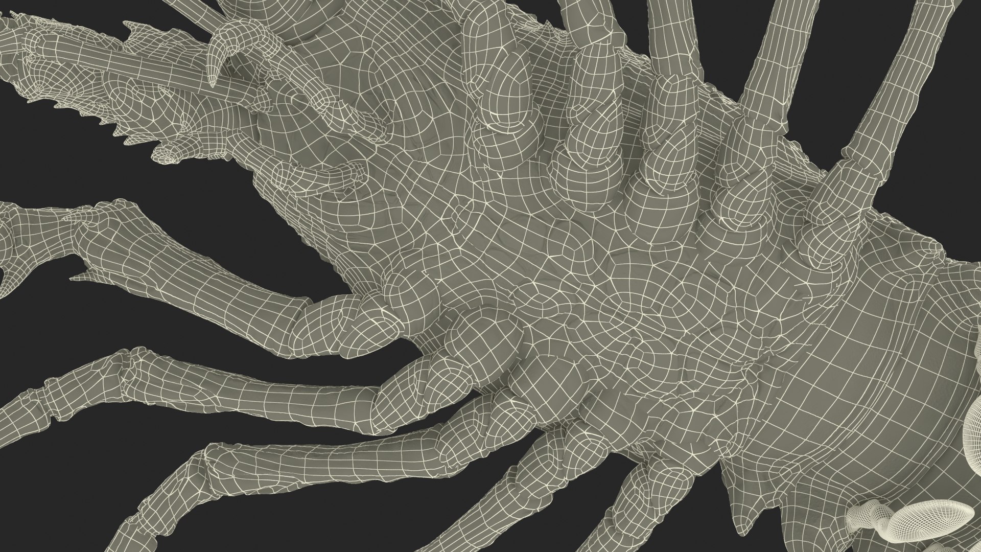 3d langouste model https://p.turbosquid.com/ts-thumb/vH/qOSZIl/EC/langouste_031/jpg/1674136935/1920x1080/fit_q87/c060f7a296309293b542fe9ac5a8f249f21458bd/langouste_031.jpg