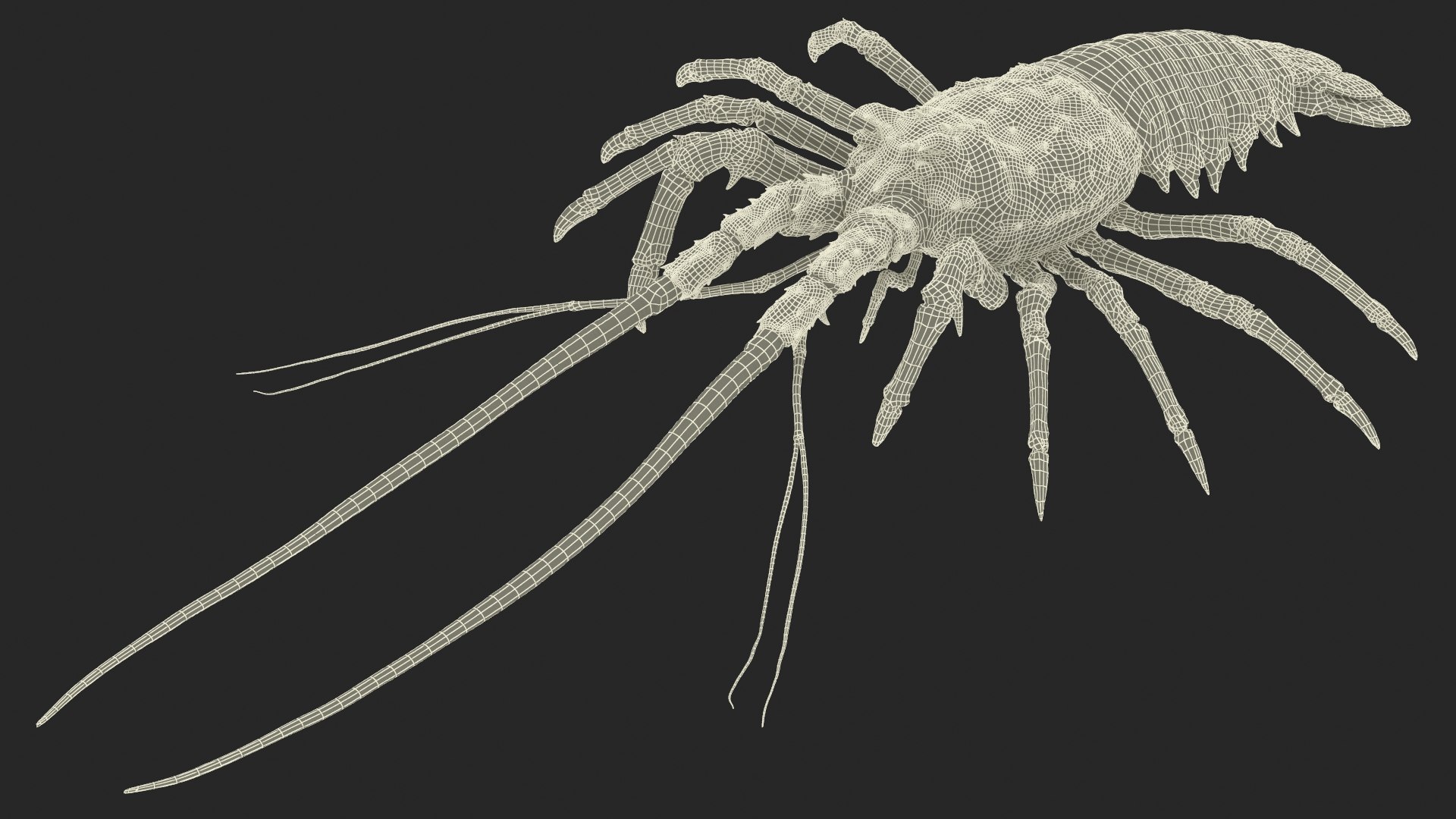 3d langouste model https://p.turbosquid.com/ts-thumb/vH/qOSZIl/g4/langouste_027/jpg/1674136932/1920x1080/fit_q87/3d1e92f90ac48bdc168ccd938eed0dd2343f63c9/langouste_027.jpg