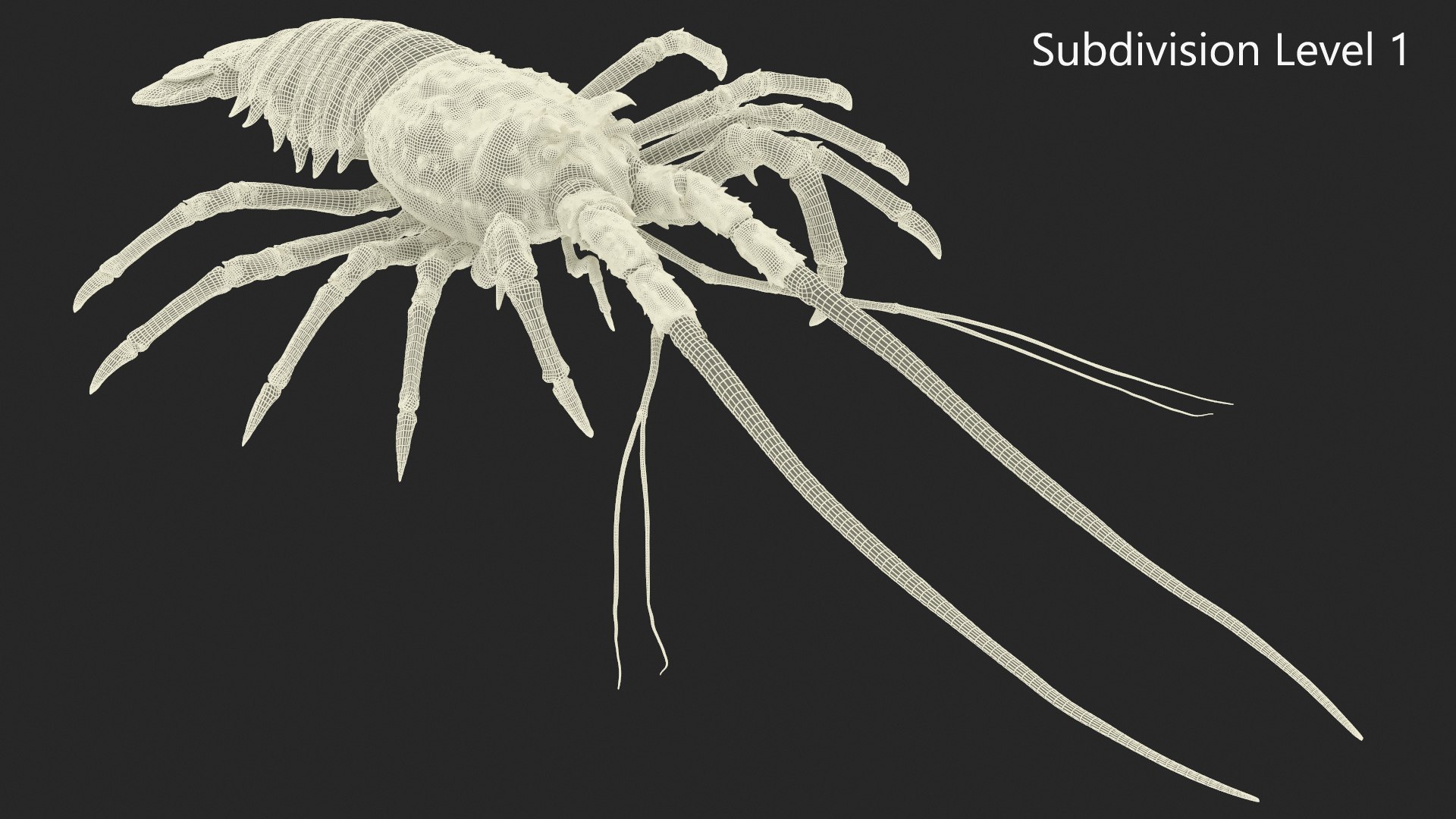 3d langouste model https://p.turbosquid.com/ts-thumb/vH/qOSZIl/mT/langouste_020/jpg/1674136929/1920x1080/fit_q87/f07c23fc160599a76a245dd1f2d91b288943e4e9/langouste_020.jpg