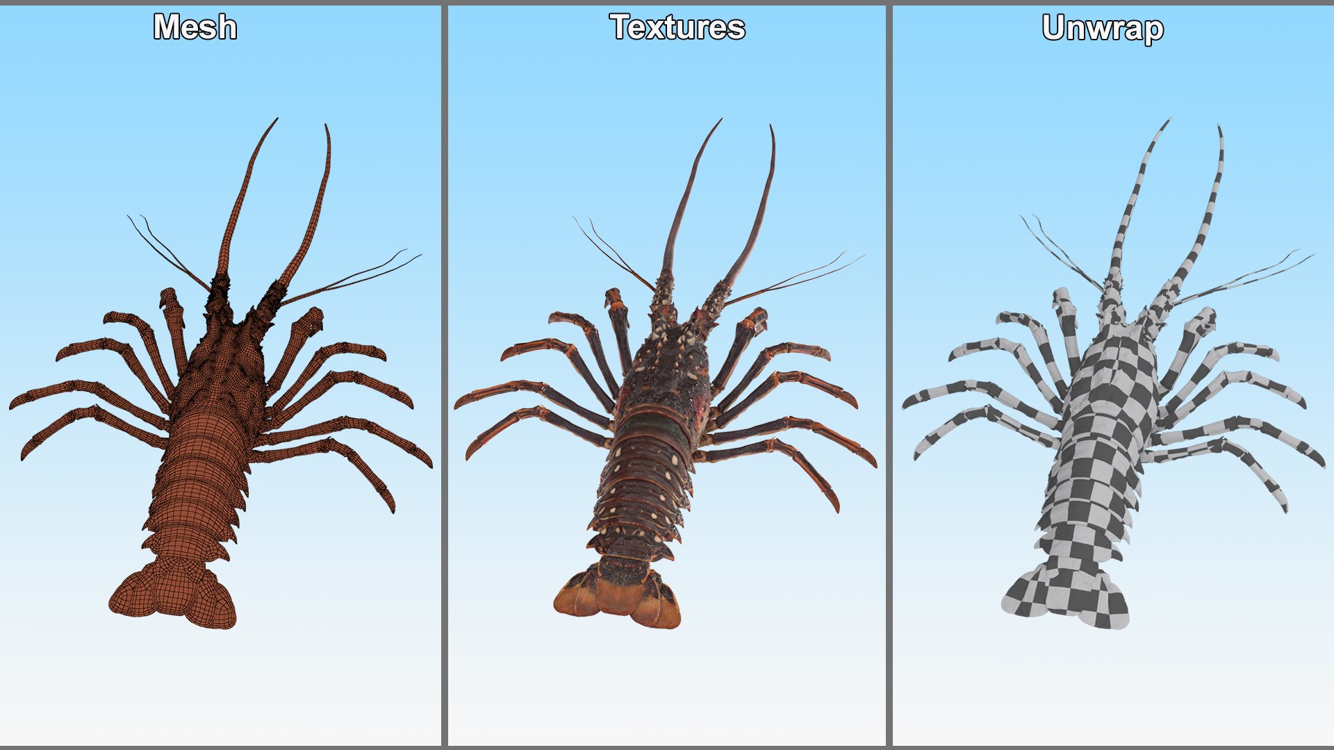 3d langouste model https://p.turbosquid.com/ts-thumb/vH/qOSZIl/q1/langouste_018/jpg/1674136927/1920x1080/fit_q87/a0258d25a03dd07479be316fd8516f9c0c3a48b8/langouste_018.jpg