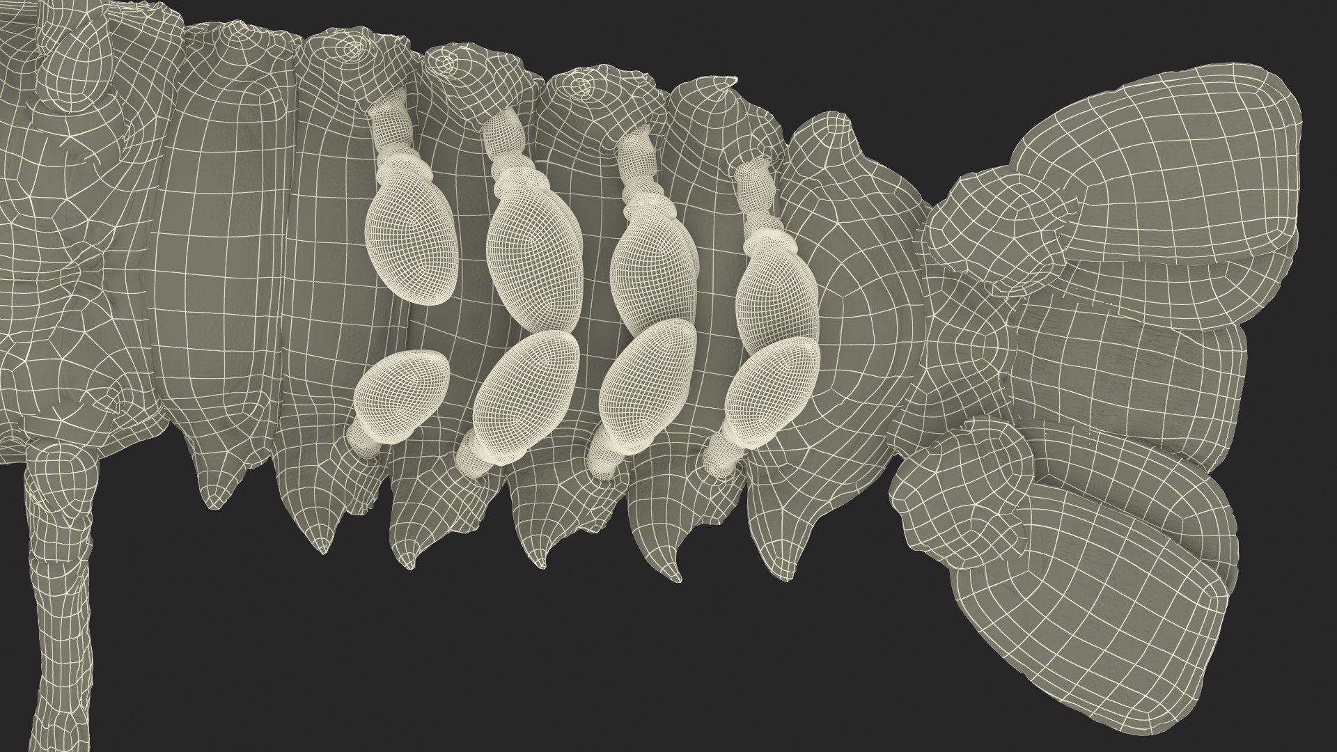 3d langouste model https://p.turbosquid.com/ts-thumb/vH/qOSZIl/rS/langouste_030/jpg/1674136934/1920x1080/fit_q87/e76bfe64b0a15834c1817eb081e333b40e6033e5/langouste_030.jpg