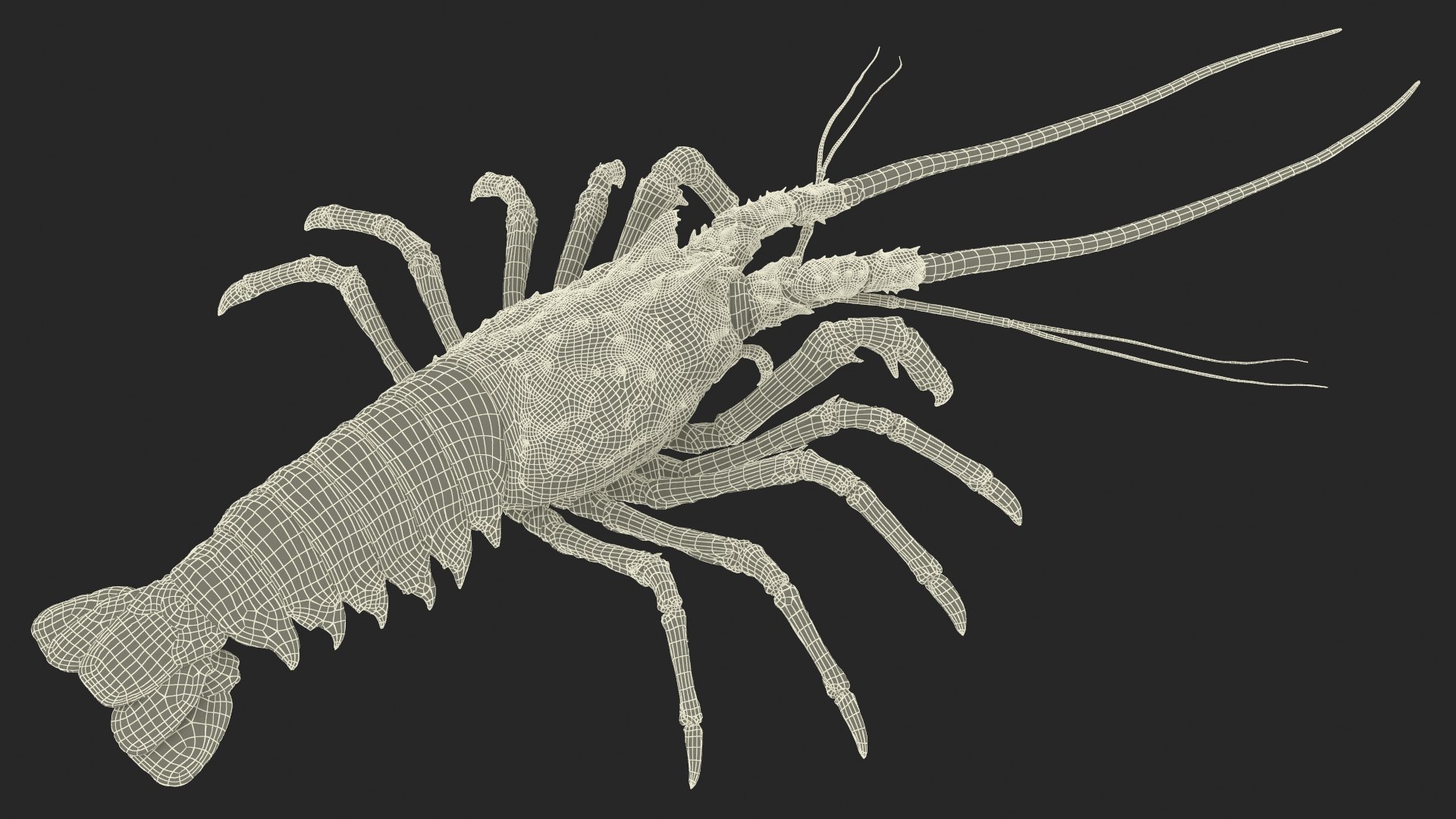3d langouste model https://p.turbosquid.com/ts-thumb/vH/qOSZIl/z0/langouste_025/jpg/1674136931/1920x1080/fit_q87/caf657cbfd88491769da43d673aebcbef18b386f/langouste_025.jpg