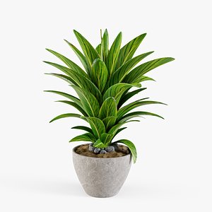 plant design modeled 3D model