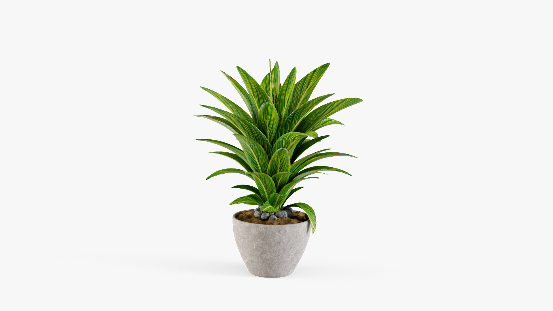 Plant design modeled 3D model - TurboSquid 1480751