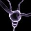Neurone Cell 1