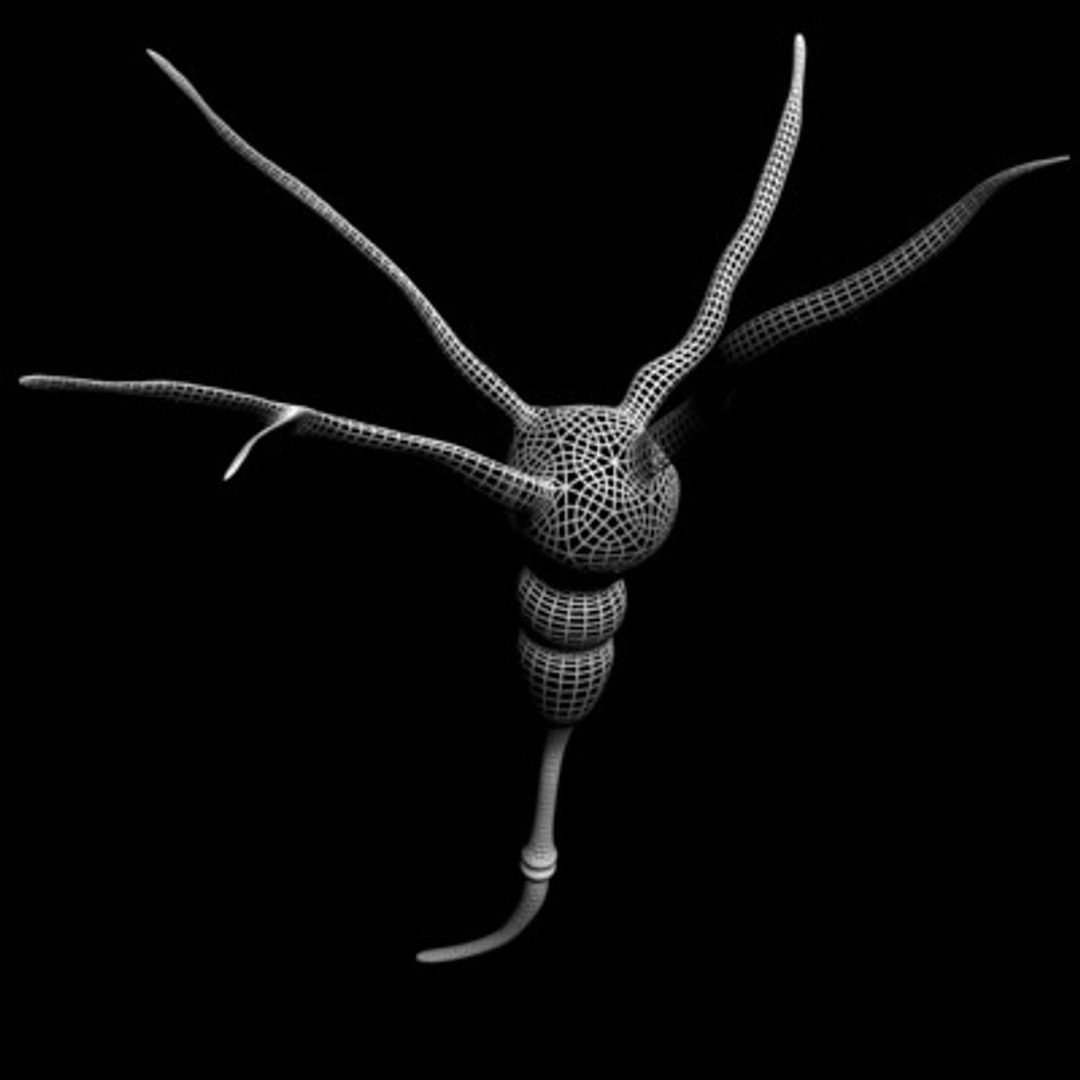 neuron cell 1 3d model https://p.turbosquid.com/ts-thumb/vH/wzsNSA/meOvA9Ud/neuroncell6/jpg/1103594026/1920x1080/fit_q87/5d3b7839fefb90a969d5d583e261e00ad5b99d31/neuroncell6.jpg