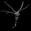 Neurone Cell 1