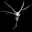 Neurone Cell 1