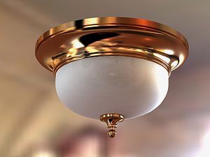 Ceiling Light (F)