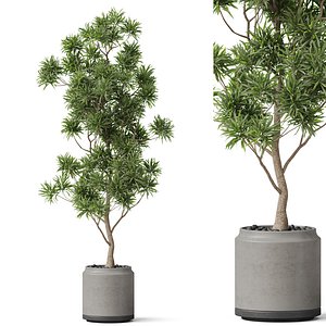 Plants collection 839