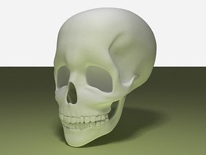 skull.obj