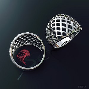 ring in the form of a grid