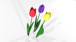 3D Tulip