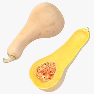 Squash Butternut