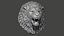 Angry Lion Head Animal Sculpture 3D