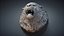 Angry Lion Head Animal Sculpture 3D