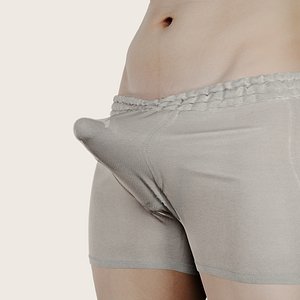 3D male penis Blend Shape 02 3D model