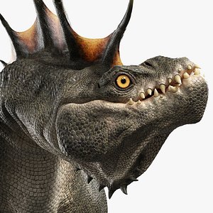 Dragon Head Rigged 3D model