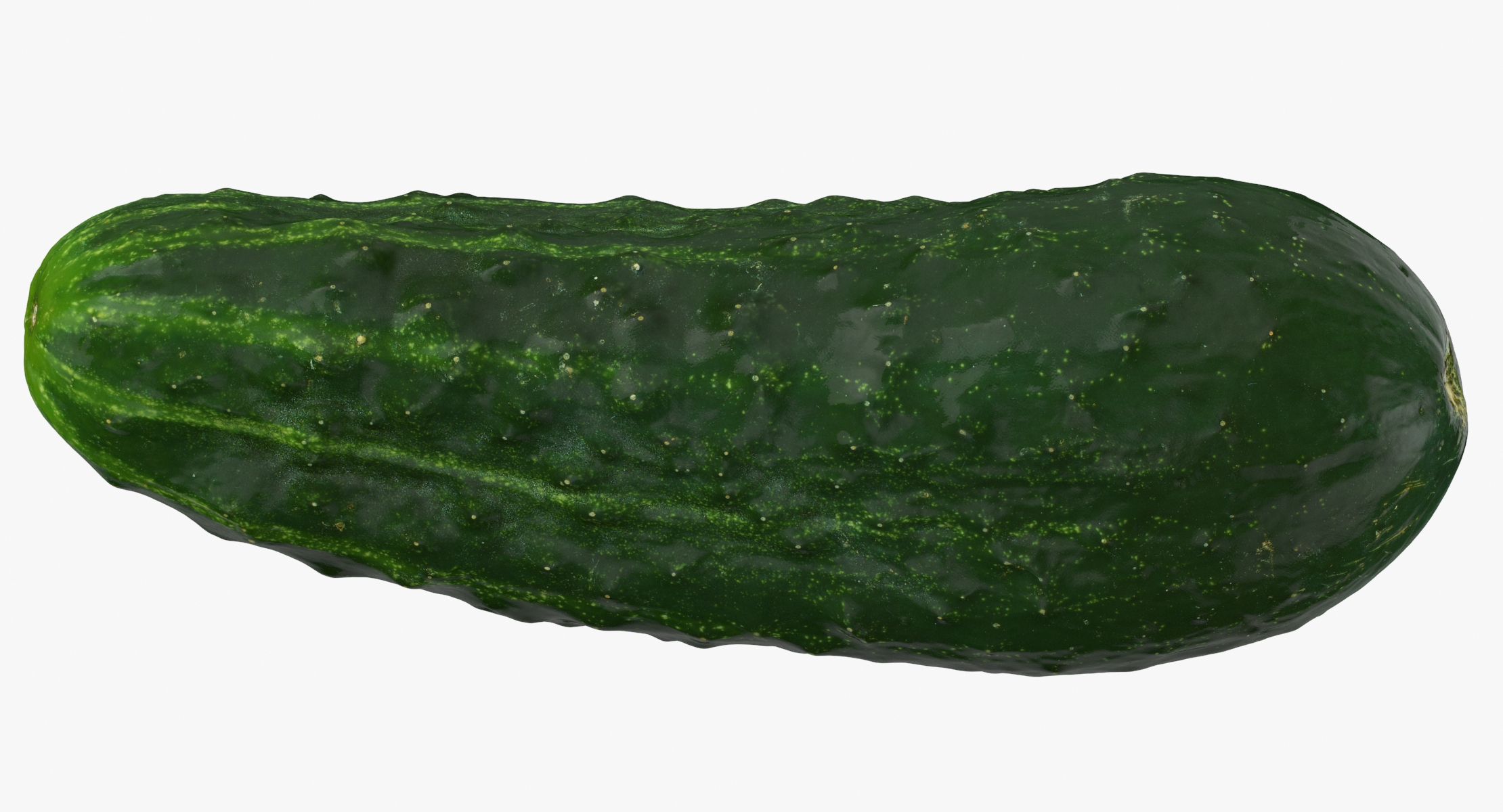 3D Kirby Cucumber 01 Whole and Cut Collection 2 models TurboSquid