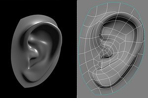 obj human ear