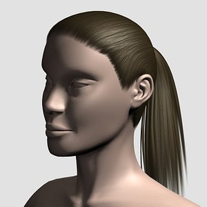 Hair_Mesh_12