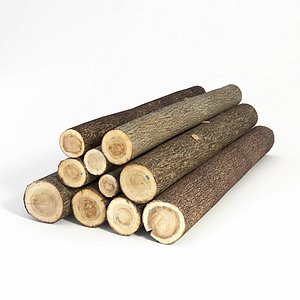 logs