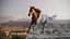 Grace degli effetti visivi dell'animazione del cavallo marrone