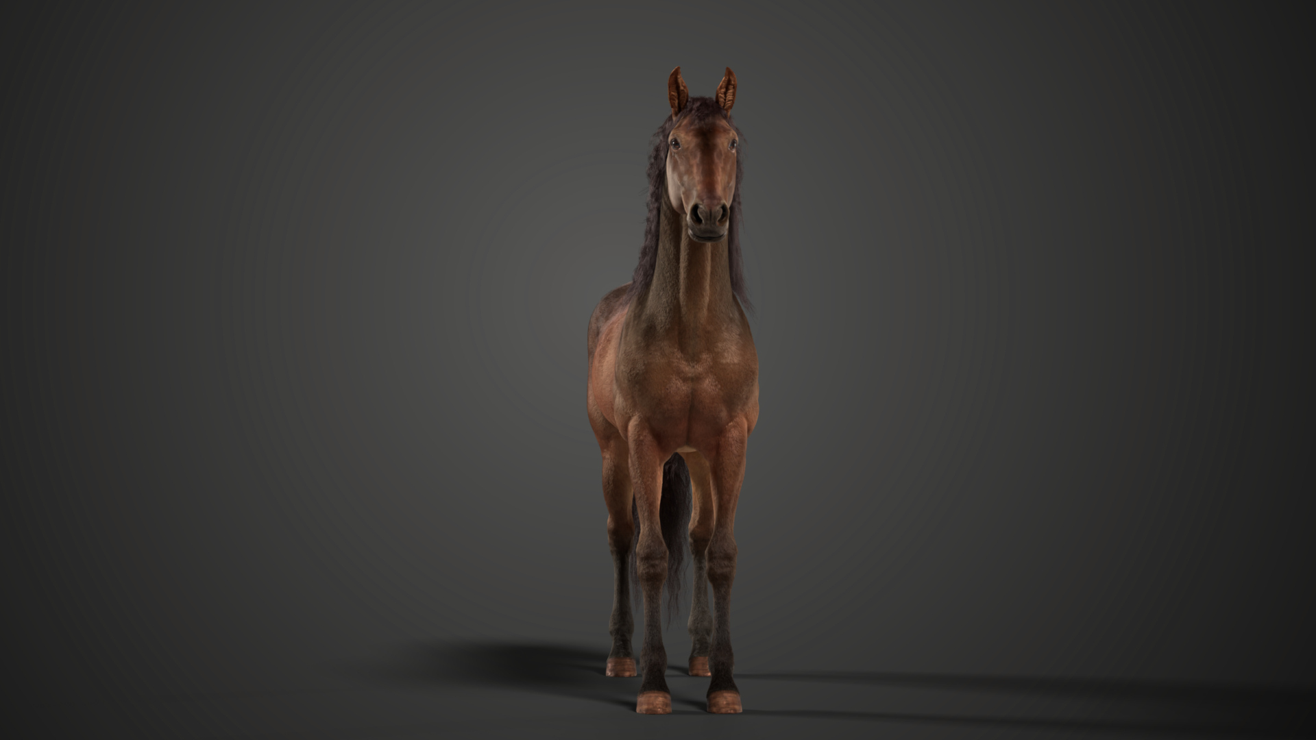 Brown Horse Animation VFX Grace 3D model https://p.turbosquid.com/ts-thumb/vJ/8UPT5E/rl/jw0n6d00_horse_brown_360/jpg/1700168035/1920x1080/turn_fit_q99/bab731acc30da32ae03ad140fff47637350d149c/jw0n6d00_horse_brown_360-1.jpg