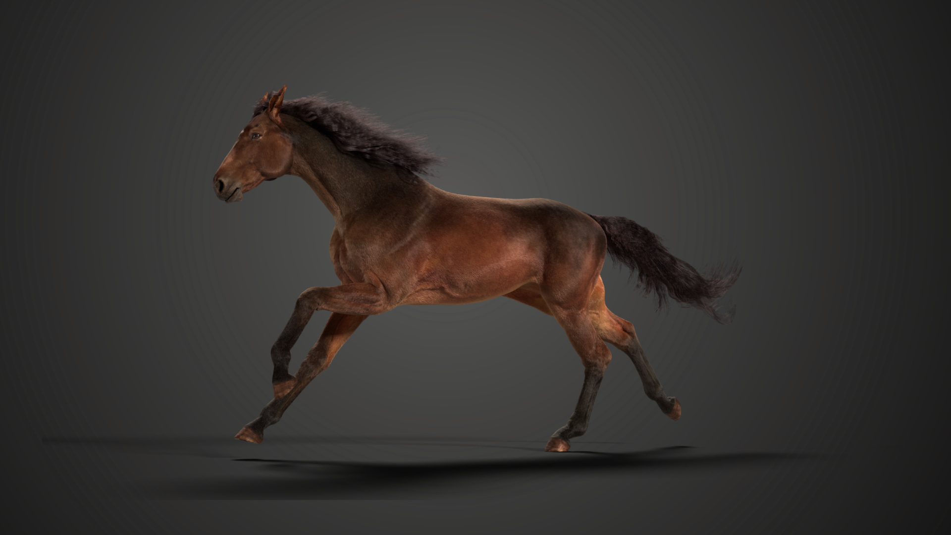 Brown Horse Animation VFX Grace 3D model https://p.turbosquid.com/ts-thumb/vJ/8UPT5E/sO/jw0n6d00_horse_brown_run/jpg/1703433272/1920x1080/turn_fit_q99/498cf919fcbd1f53e1b42bbd52fa3d56ae322410/jw0n6d00_horse_brown_run-1.jpg