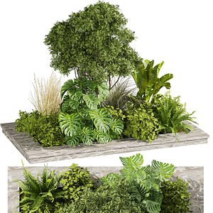 plant vol 807 - garden - leaf - banana - tree 3D