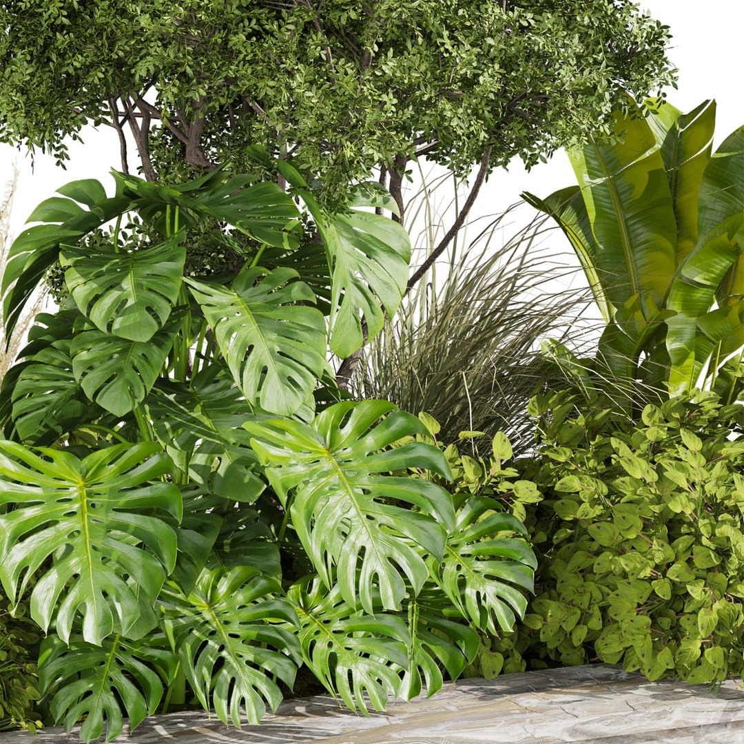 plant vol 807 - garden - leaf - banana - tree 3D https://p.turbosquid.com/ts-thumb/vJ/AFTSGN/SL/2/jpg/1767125291/1920x1080/fit_q87/2b731aebae6a68dac97fa3f82790eded6b403293/2.jpg