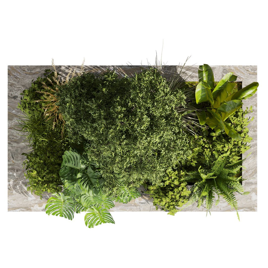 plant vol 807 - garden - leaf - banana - tree 3D https://p.turbosquid.com/ts-thumb/vJ/AFTSGN/rC/3/jpg/1767125291/1920x1080/fit_q87/6f231d356869b122274655c1cbd7435c91c81216/3.jpg