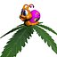 Caracol dos anos setenta RIGGED