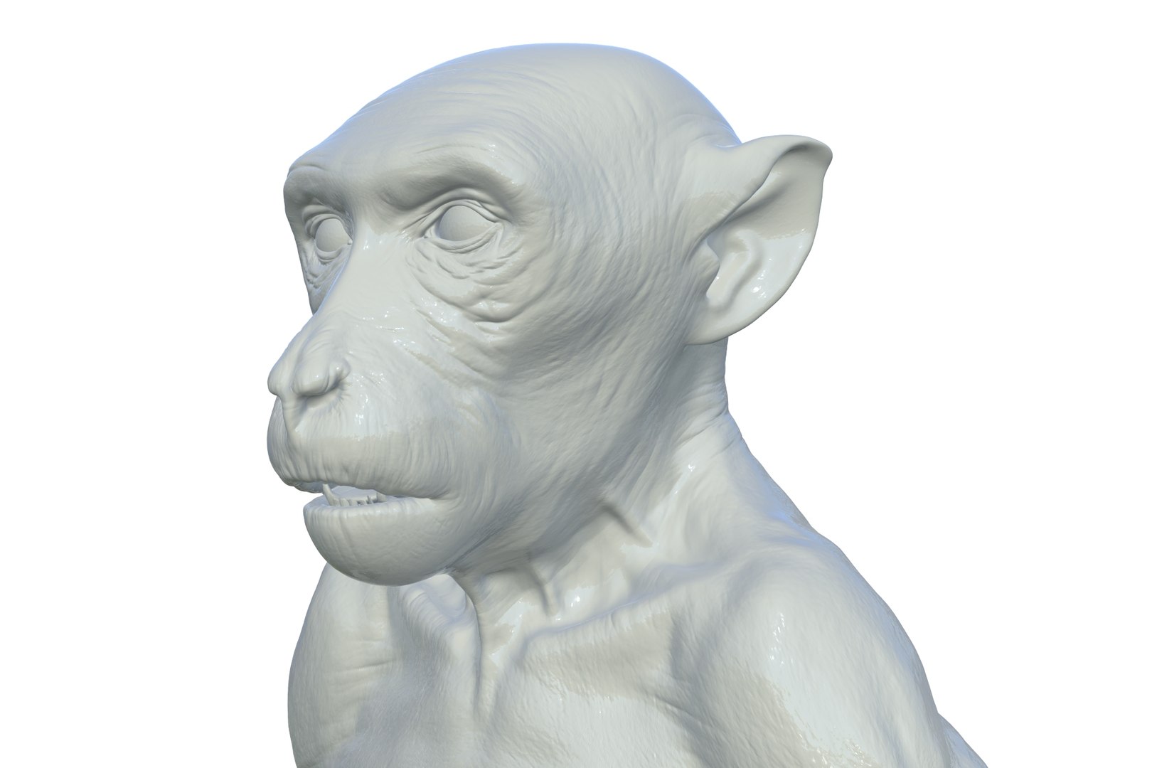 Monkey 3D model https://p.turbosquid.com/ts-thumb/vJ/nHSkTI/6K/render_13/jpg/1711297805/1920x1080/fit_q87/1d349c4af602a5128ecaa53296629137fa9b73dd/render_13.jpg