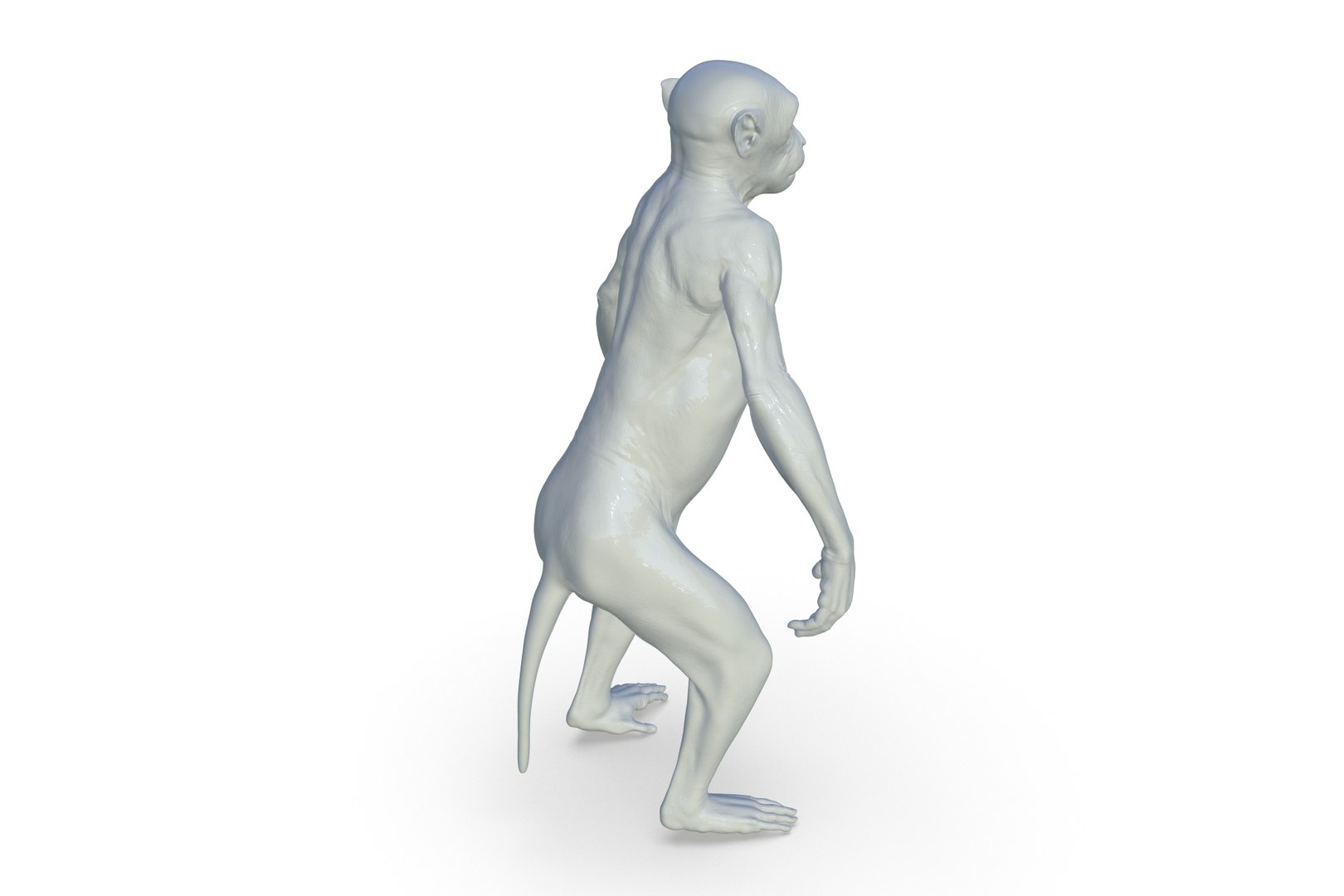 Monkey 3D model https://p.turbosquid.com/ts-thumb/vJ/nHSkTI/7M/render_07/jpg/1711297800/1920x1080/fit_q87/9b4031a5541f1e3889eb635eaf0161f48ae3aa11/render_07.jpg