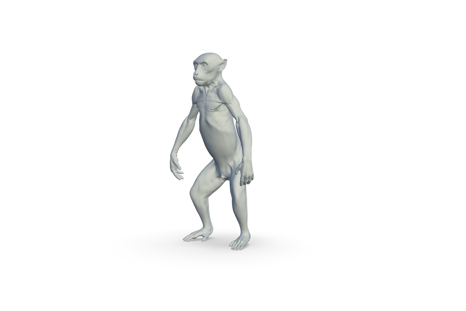 Monkey 3D model https://p.turbosquid.com/ts-thumb/vJ/nHSkTI/Ee/turntable/jpg/1711297831/1920x1080/turn_fit_q99/355cdb5549b039394171b754909b1f7a0ac500dc/turntable-1.jpg