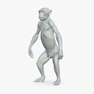 Monkey 3D model