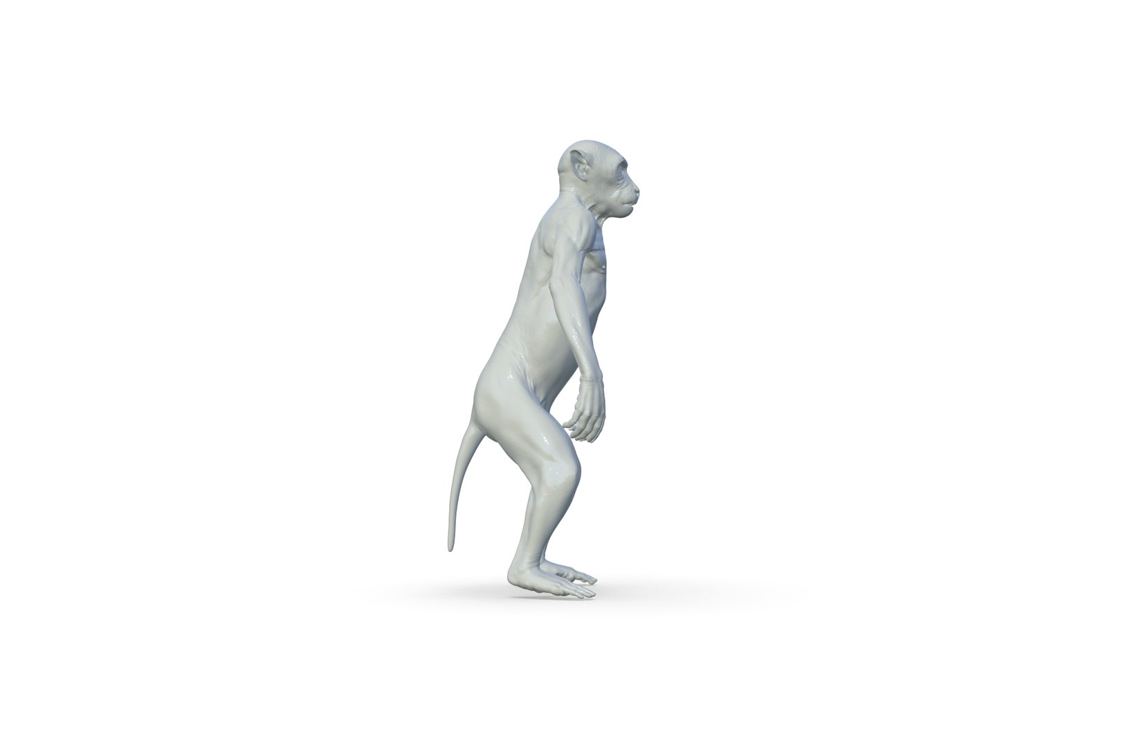Monkey 3D model https://p.turbosquid.com/ts-thumb/vJ/nHSkTI/Pt/render_08/jpg/1711297802/1920x1080/fit_q87/8b3183a358b433c177b902bab1dfc8b76a576ef7/render_08.jpg